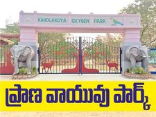  వీకెండ్ స్పెషల్ : ఛలో ఆక్సిజన్ పార్క్.. కండ్లకోయ