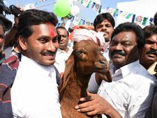 వ్యూస్ సునామీ: రావాలి జగన్..కావాలి జగన్ ప్రచార గీతం: యూట్యూబ్ లో 4 రోజుల్లో 83 లక్షలు