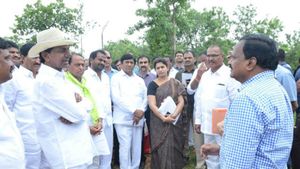 అడవిలో సీఎం కేసీఆర్.. అధికారులకు దిశానిర్దేశం..!