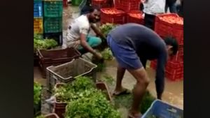 మురుగునీళ్లలో కొత్తిమీర.. డర్టీ వ్యాపారం.. ప్రజారోగ్యం గాలికొదిలేసిన అధికారులు !!(వీడియో)