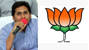 బీజేపీకి వైఎస్ జగన్ దెబ్బ, ముగ్గురు ఉప ముఖ్యమంత్రులు ? రేసులో బళ్లారి శ్రీరాములు! 