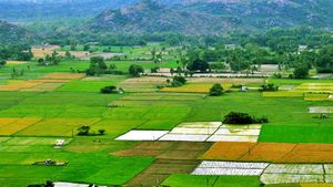 ఎకరాలకొద్దీ అక్రమ పట్టాలు.. రెవెన్యూ అధికారుల లీలలు.. ఏసీబీ నిఘాతో పరార్..!