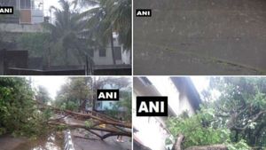 ఎప్పుడూ చూడలేదే!: బెంగళూరులో ఈదురుగాలులతో కూడిన భారీ  వర్షం(వీడియో)