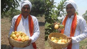 తెలంగాణా యాపిల్ నోరూరిస్తుంది: ప్రయోగం సక్సెస్ అయ్యి ఆ రైతు పంట పండింది