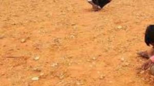ఏపీలో ఆ పొలాల్లో తళుక్కుమంటున్న వజ్రాలు .. మహిళా కూలీకి దొరికిన వజ్రం.. అదృష్టమంటే ఇదే !! 