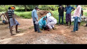 Coronavirus:మేకలు, గొర్రెలకు క్వారంటైన్, బెంగళూరు టూ భోపాల్ ల్యాబ్ నివేదిక, ఏం జరిగిందంటే ? 
