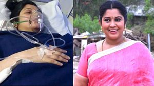 పాపులర్ నటి విజయలక్ష్మి ఆత్మహత్యాయత్నం - రాజకీయ పార్టీల వేధింపుల వల్లేనంటూ - భాషా దురభిమానం కారణమా?