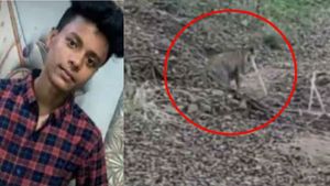 పెద్దపులి కలకలం: ఓ యువకుడిని చంపి, అడవిలో లాక్కెళ్లింది, భయంతో ప్రజల కేకలు