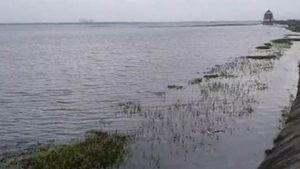 నివర్ ఎఫెక్ట్ మామూలుగా లేదుగా: పోటెత్తుతోన్న సముద్రం: తీరం దాటేటప్పుడు ప్రళయమే?