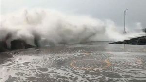 Nivar Cyclone: తుపాను ఎఫెక్ట్, హైల్ప్ లైన్, వాట్సాప్, ఫోన్ నెంబర్లు, తెలుగు ప్రజలు జాగ్రత్త, చెన్నై 