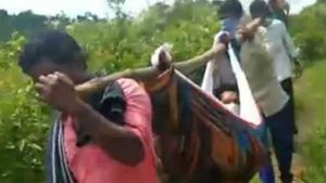  డోలీలో గర్భిణీని 10 కిలోమీటర్ల తీసుకెళ్లారు: విశాఖ మన్యంలో తీరని కష్టాలు  