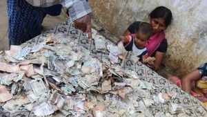 కృష్ణాజిల్లాలో విచిత్రం- ట్రంకు పెట్టెలో 5 లక్షలు తినేసిన చెద పురుగులు- బాధితుల గగ్గోలు