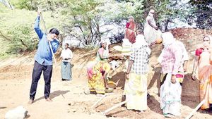 ఎర్రటి ఎండలో... ఉపాధి కూలీలతో కలిసి పలుగు చేతపట్టిన కలెక్టర్... మట్టి పనిచేస్తూ...