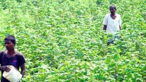వీధుల్లో రైతుల ఫోటోలతో ఫ్లెక్సీలు.. బజారుకీడ్చి పరువు తీస్తారా... ఆత్మహత్య చేసుకుంటే మీదే బాధ్యత.. 