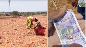 కూలీలకు వజ్రాలు దొరికాయి -కర్నూలు జిల్లా తుగ్గలిలో జోరుగా వేట -రైతుకు రూ.1.2కోట్లు -ఎగబడుతోన్న జనం