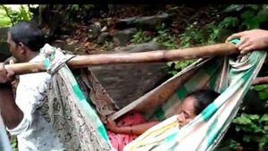 పాలకుల ప్రేమ మాటల్లోనే.. విజయనగరం ఏజెన్సీలో గిరిజన మహిళ ప్రసవానికి తప్పని డోలీ కష్టాలు 