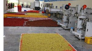 Tirupati: ఏడు కొండలకు గుర్తుగా ఏడు బ్రాండ్లు, ఇప్పుడు శ్రీవారి లడ్డూ లాగా అగరబత్తులు, డేట్ ఫిక్స్ ! 