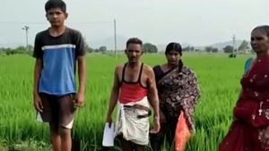 జగన్ గారు న్యాయం చేయండి..మీ ఎమ్మెల్యే వేధిస్తున్నారు : రైతు ఫ్యామిలీ వేడుకోలు -పొలాలను ట్రాక్టర్లతో తొక్కించి.