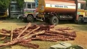 శేషాచలం అడవుల్లో కలకలం: జల్లెడ పడుతున్న అటవీ అధికారులు