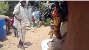 షాక్ ఇచ్చిన పెంపుడు కుక్క; లక్షా యాభైవేలు మాయం; లబోదిబోమన్న యజమాని 