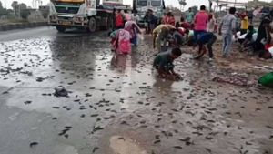 లారీ బోల్తా.. 4 వేల చేపలు మాయం.. వ్యాపారికి నష్టం