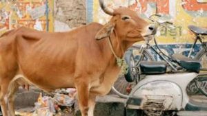  Sadist: పొలంలో ఆవును పట్టుకుని అత్యాచారం చెయ్యాలని చూసిన అబుబక్కర్ !