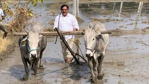 రైతు బిడ్డనేనంటూ.. పొలం దున్ని మంత్రి ఎర్రబెల్లి దయార్ రావు