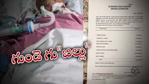 Private Hospitals: 10 రోజులకు అరకోటికి పైగా బిల్లు.. రోగికి షాకిచ్చిన ప్రైవేట్ ఆస్పత్రి..