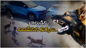 Hyderabad: అంబర్‍పేట్‍లో దారుణం.. బాలుడిపై దాడి చేసి చంపేసిన కుక్కలు..