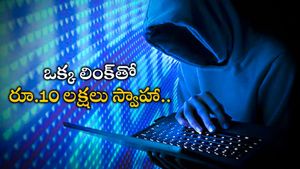 NRI News: ఎన్నారై సాఫ్ట్‌వేర్ ఇంజినీర్‌ను మోసం చేసిన సైబర్ నేరగాళ్లు.. రూ.10 లక్షలు స్వాహా..