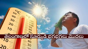 తెలంగాణలో ఈ వారంలోనే 40 డిగ్రీలు దాటనున్న ఉష్ణోగ్రతలు: హైదరాబాద్ మాత్రం కూల్‌గానే!