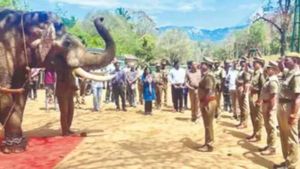  ఏనుగు కలీమ్ రిటైర్మెంట్: తమిళనాడు, ఏపీతోపాటు పలు రాష్ట్రాల్లో సేవలు, ఘన వీడ్కోలు