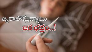 Viral Flu: రాష్ట్రంలో పెరుగుతున్న వైరల్ ఫ్లూ కేసులు.. ఆస్పత్రులను అలర్ట్ చేసిన ప్రభుత్వం..