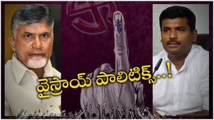 ఎమ్మెల్సీ ఎన్నికల్లోనూ చంద్రబాబు వైస్రాయి రాజకీయం - మంత్రి అమర్నాథ్..!!