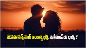 లవ్ మ్యారేజ్, హనీమూన్ లో ఉంటే వదిన పంపించిన మెసేజ్ తో ?. పెళ్లికూతురు ! 