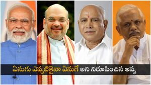 ఏనుగు చచ్చినా వెయ్యే, బతికినా వెయ్యే, హైకమాండ్ తో అప్ప ఢీ, బీఎల్ఎస్ కు షాక్ ! 