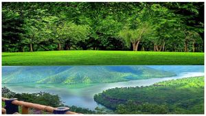 రీల్స్ చేయండి బహుమతి పట్టండి: తెలంగాణ అటవీ మంత్రిత్వ శాఖ బంపర్ ఆఫర్