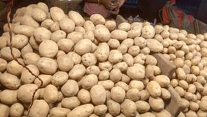  బంగాళాదుంపకు భారీ డిమాండ్: కాసులు కురిపిస్తోన్న తెలంగాణ ఆలుగడ్డ, కానీ..