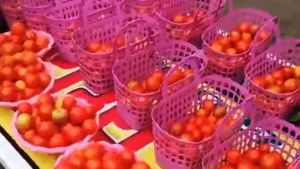 హైదరాబాద్‌లో బుట్టల్లో పెట్టి ఫ్రీగా టమోటాలు పంపిణీ