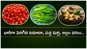 Tomato, Green Chilli: భారీగా పెరిగిన టమాటా, పచ్చి మిర్చి, అల్లం ధరలు..