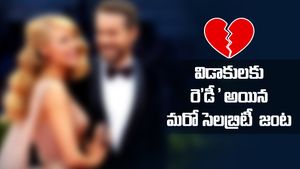  Divorce: విడాకులు తీసుకుంటున్న మరో సెలబ్రిటీ .. పెళ్లైన ఏడాదికే బ్రేకప్..!