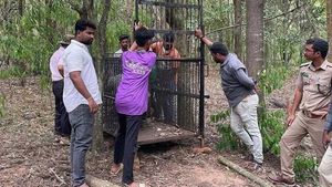 TTD: అర్ద్రరాత్రి చిక్కిన చిరుత - మహాదర్శనం టోకెన్లపై కీలక నిర్ణయం..!!