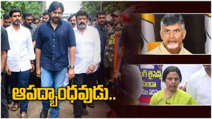 టీడీపీపై పట్టు బిగిస్తున్న పవన్ - నారా, నందమూరి ఫ్యామిలీకి 