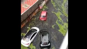 Cyclone Michaung:  కొట్టుకుపోయిన కార్లు-  ట్రాఫిక్‌కు అడ్డం పడ్డ మొసలి