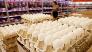 Egg Price: కొండెక్కిన కోడిగుడ్డు.. రూ.7 పలుకుతున్న ధర..
