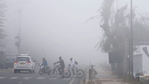 Weather Report: తెలంగాణలో ఉష్ణోగ్రతలు భారీగా పడిపోతున్నాయి..