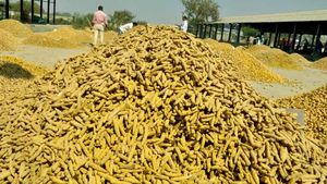 రికార్డు ధర పలుకుతున్న పసుపు: నిజామాబాద్ రైతుల్లో ఆనందం, కేంద్ర నిర్ణయమే కారణం