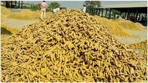 Turmeric: రికార్డు స్థాయి ధర పలుకుతోన్న పసుపు.. 