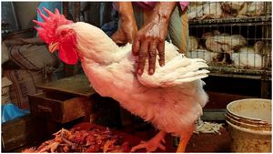Chicken Price: భారీగా పెరిగిన చికెన్ ధర.. కిలో ఎంతంటే..! 