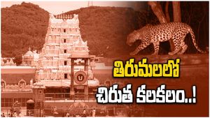 Tirumala: తిరుమలలో మరోసారి చిరుతల సంచారం..
